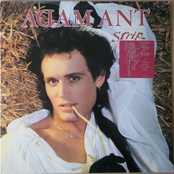 Adam Ant — Strip