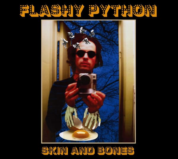 Flashy Python — Skin And Bones