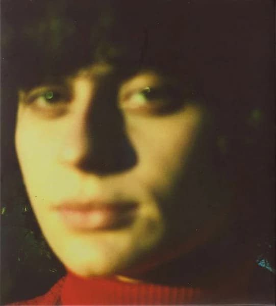 Ana Frango Elétrico — Little Electric Chicken Heart