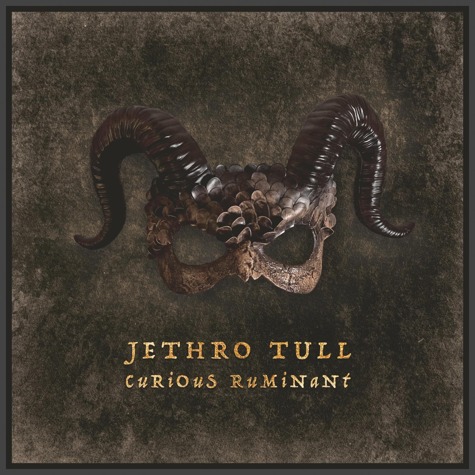 Jethro Tull — Curious Ruminant
