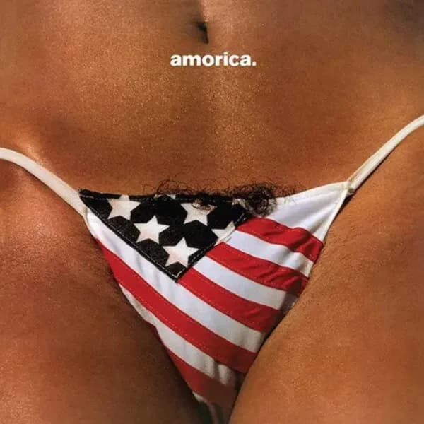 The Black Crowes — Amorica.