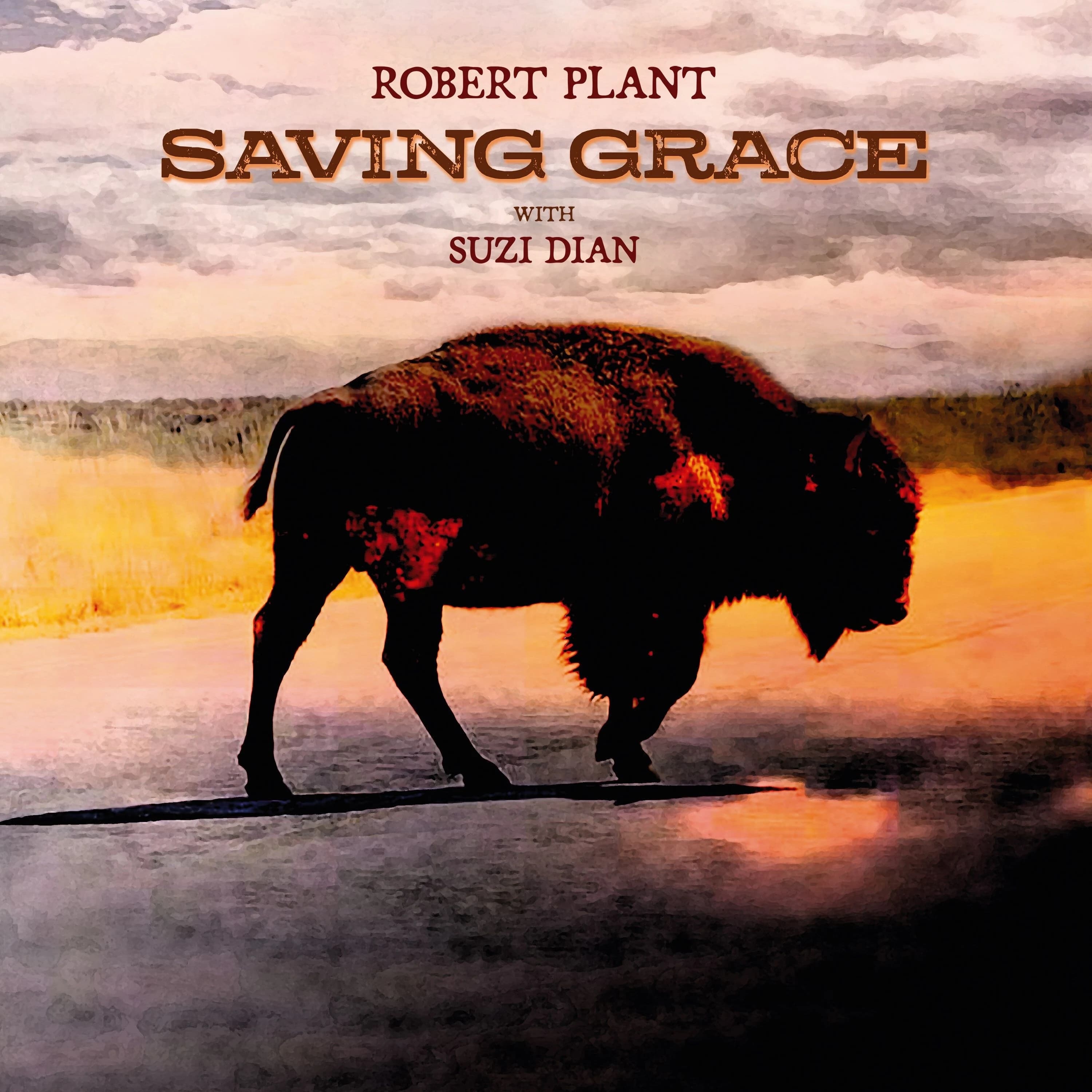 Robert Plant With Suzi Dian — Saving Grace