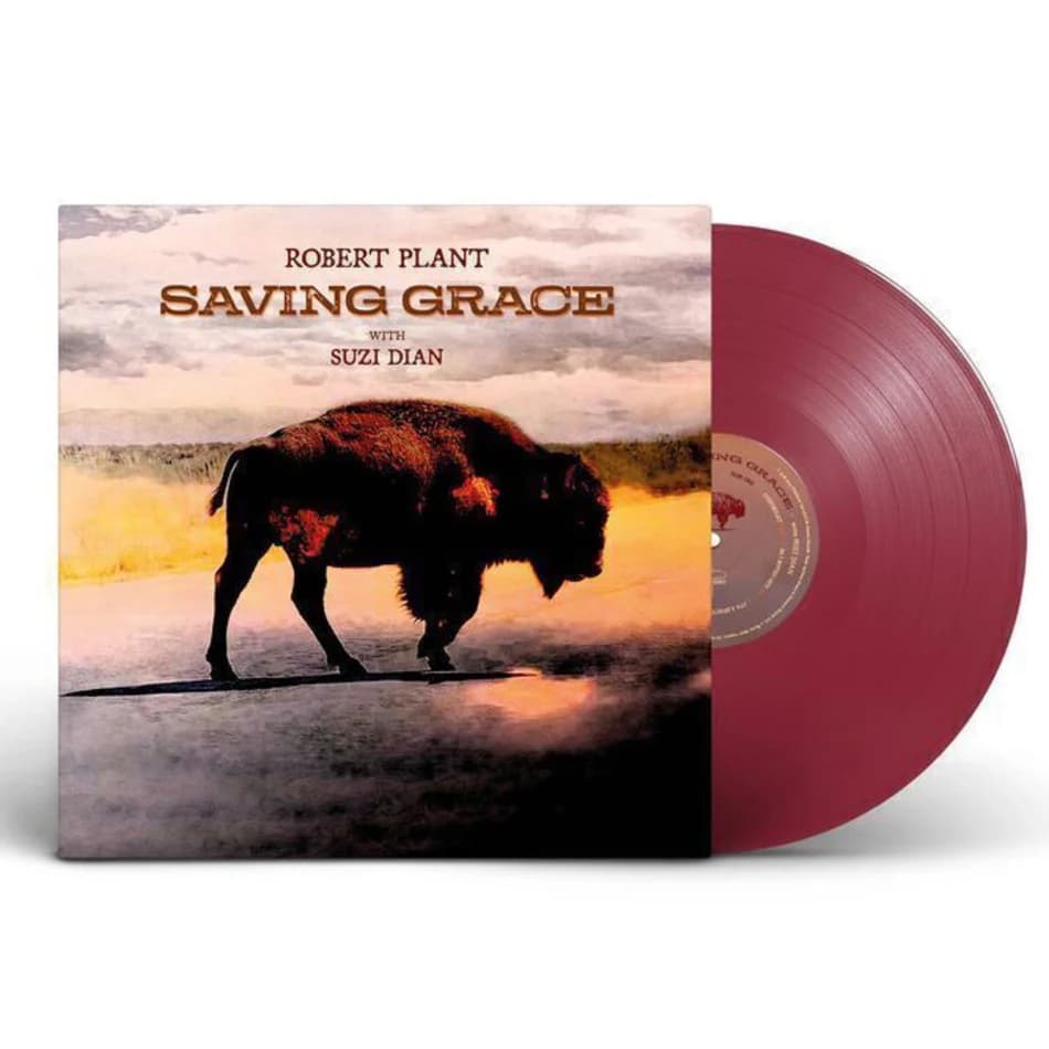 Robert Plant With Suzi Dian — Saving Grace