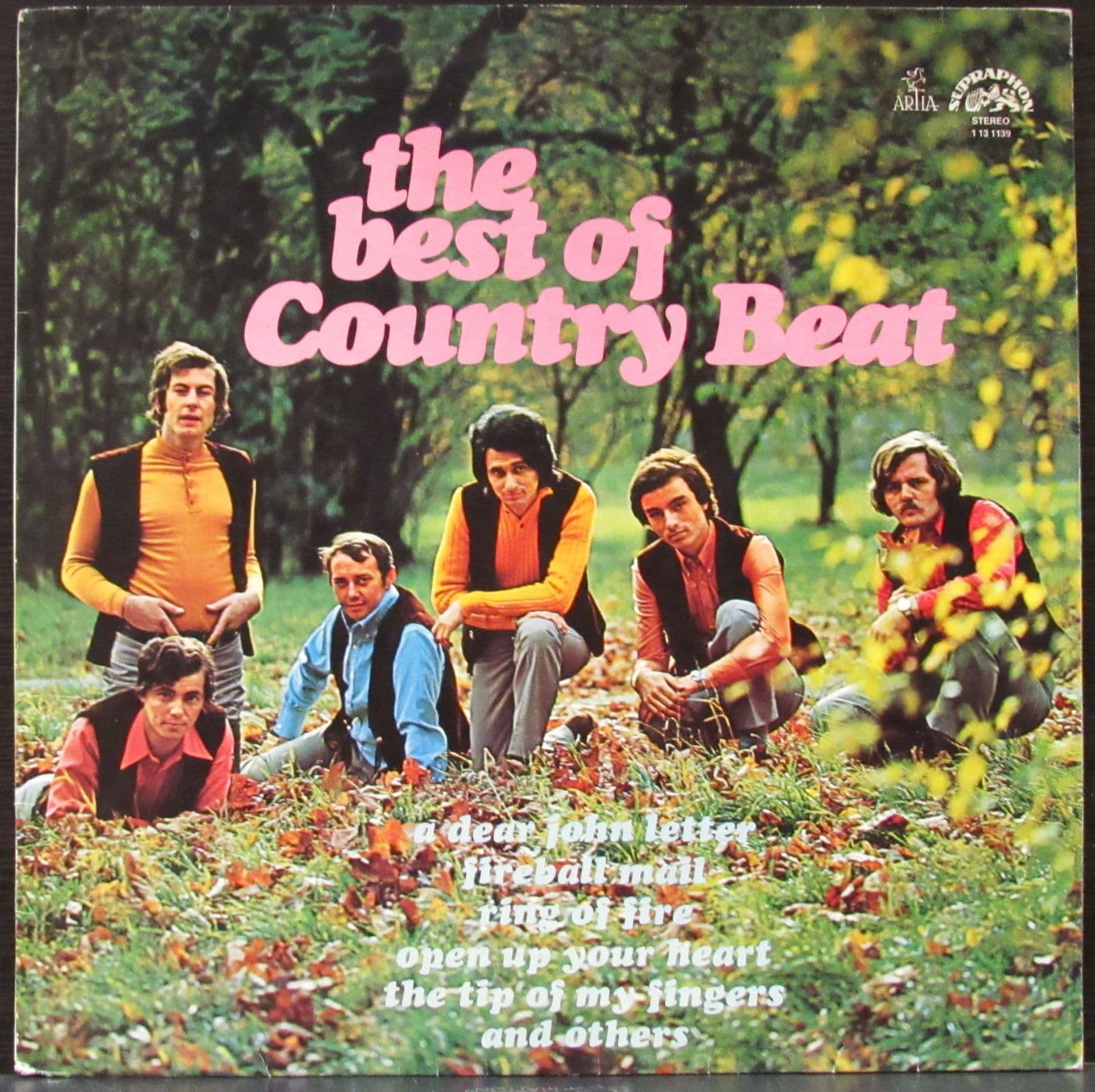 Country Beat — Best Of
