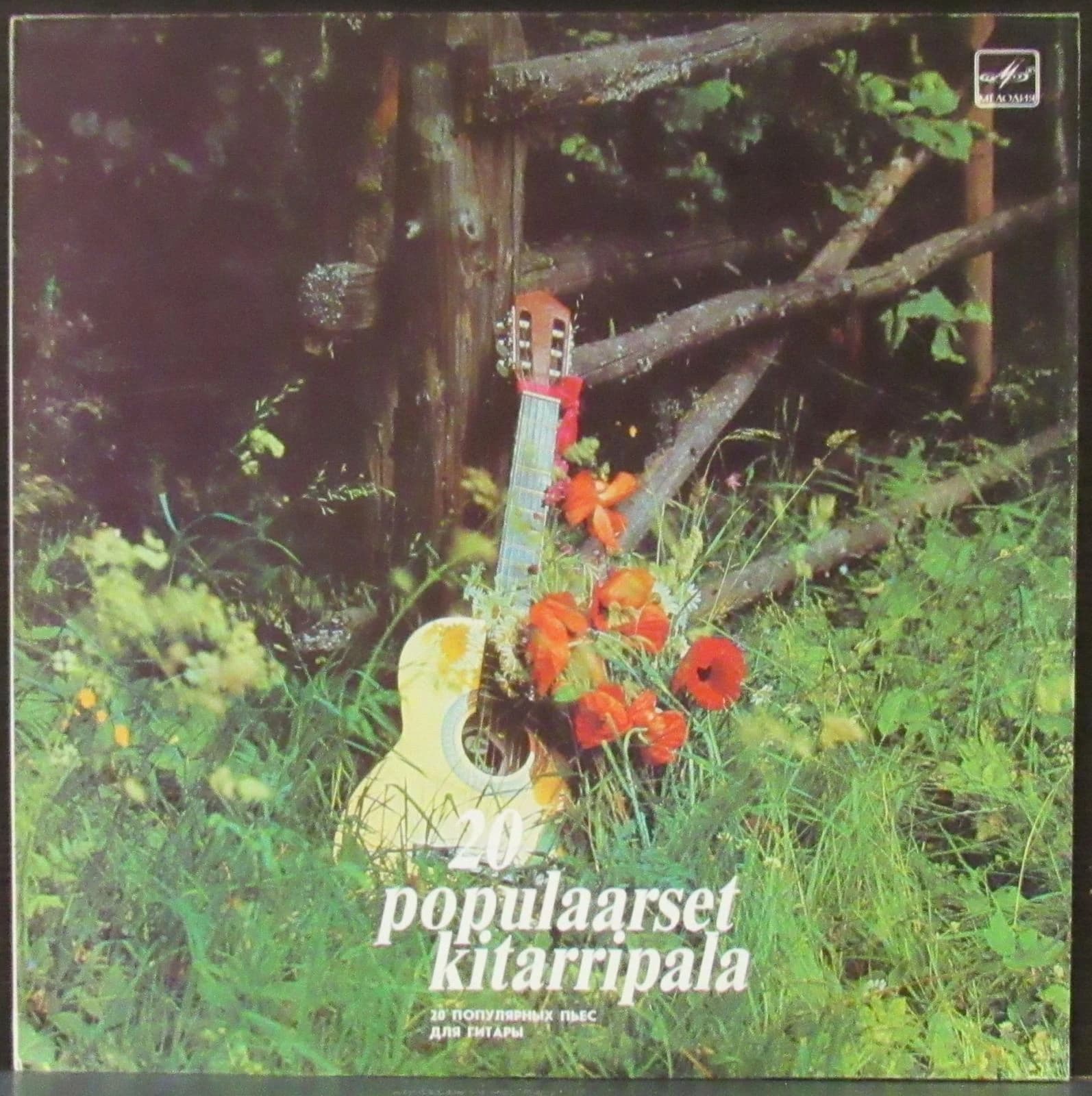 Matlik Heika — 20 Populaarset Kitarripala